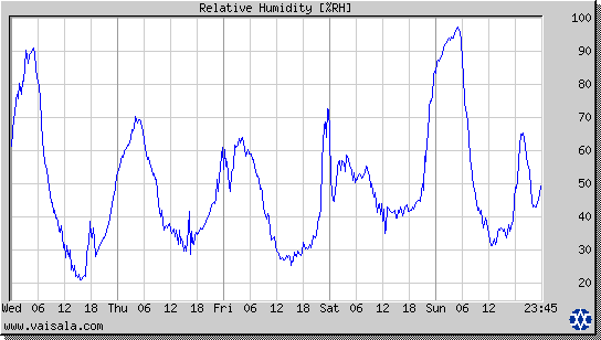 Relative Humidity