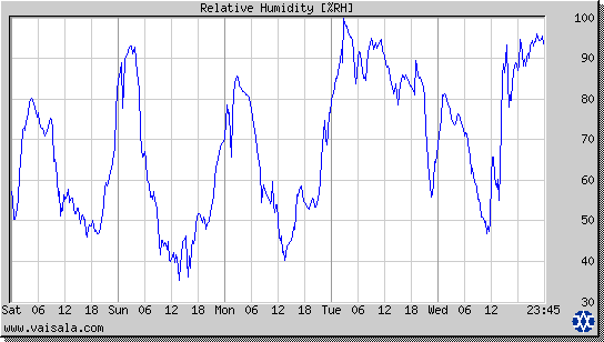 Relative Humidity