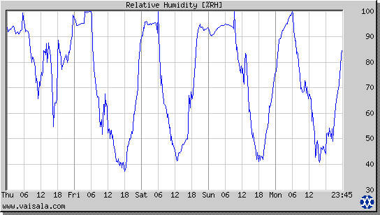 Relative Humidity