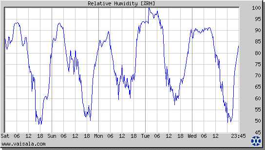 Relative Humidity