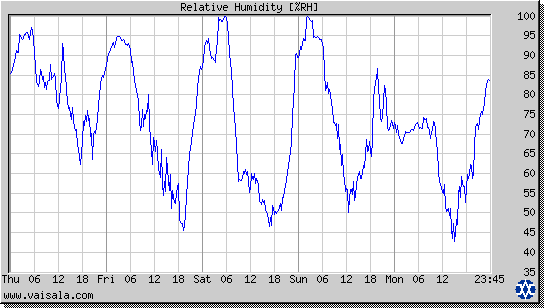 Relative Humidity