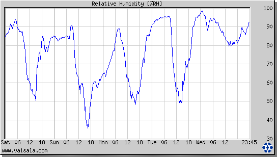 Relative Humidity