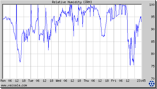 Relative Humidity