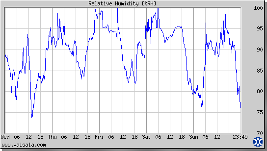 Relative Humidity