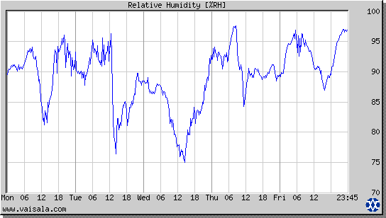 Relative Humidity