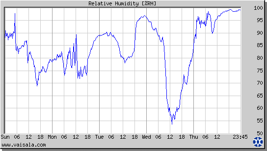 Relative Humidity