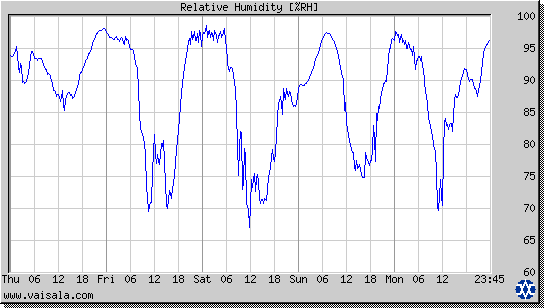 Relative Humidity