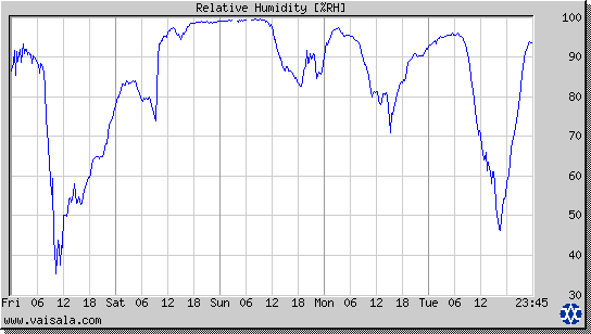 Relative Humidity