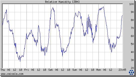 Relative Humidity