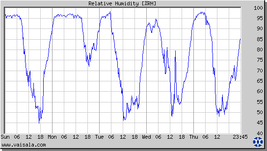 Relative Humidity