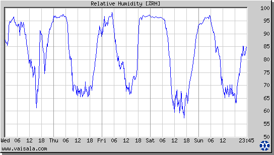 Relative Humidity