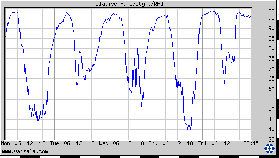 Relative Humidity