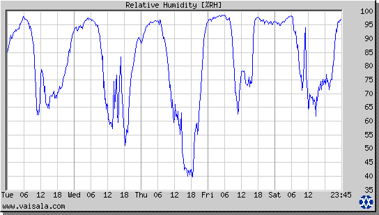 Relative Humidity