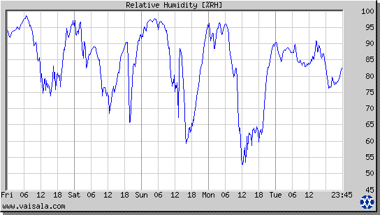 Relative Humidity