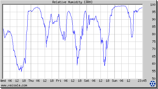 Relative Humidity