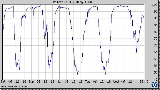 Relative Humidity