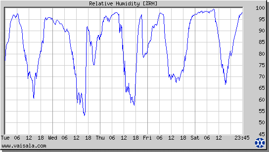 Relative Humidity