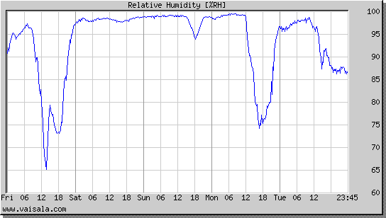 Relative Humidity