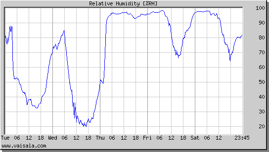 Relative Humidity