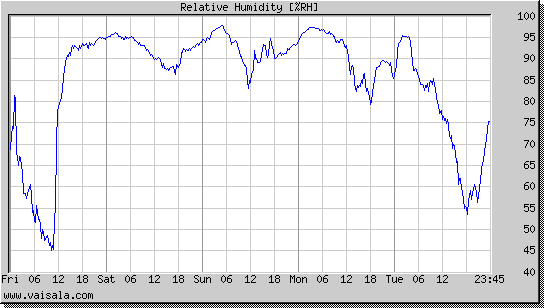 Relative Humidity