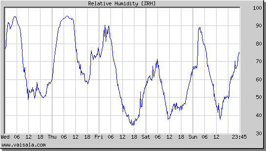 Relative Humidity