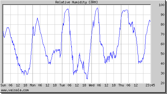 Relative Humidity