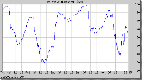 Relative Humidity