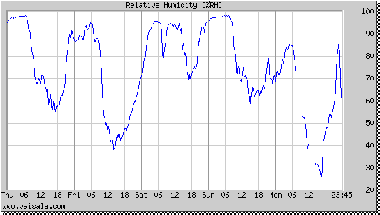 Relative Humidity