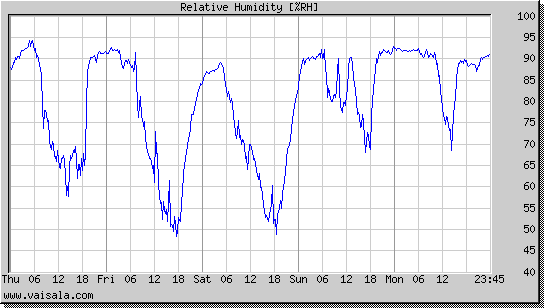 Relative Humidity