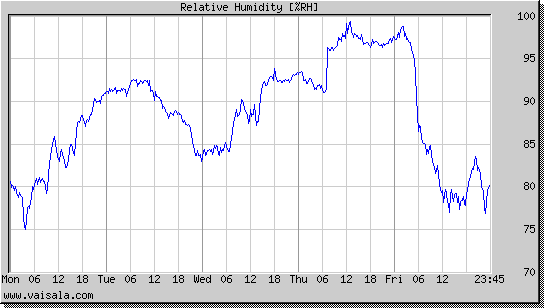 Relative Humidity