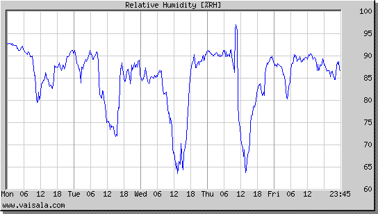 Relative Humidity