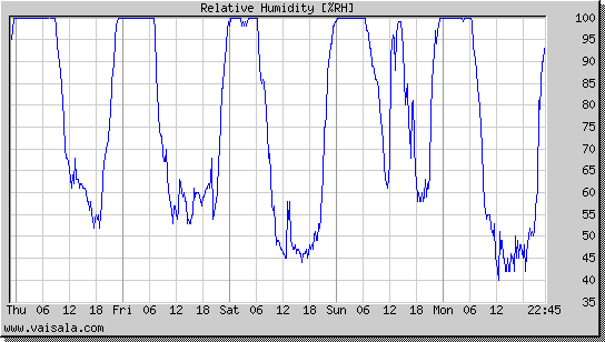 Relative Humidity