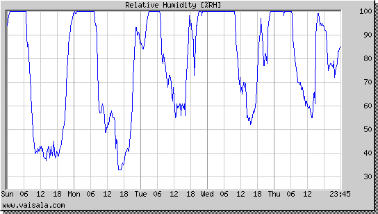 Relative Humidity