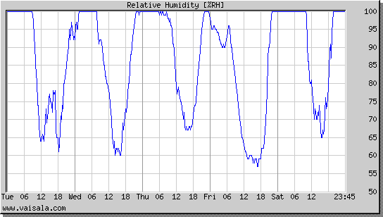 Relative Humidity