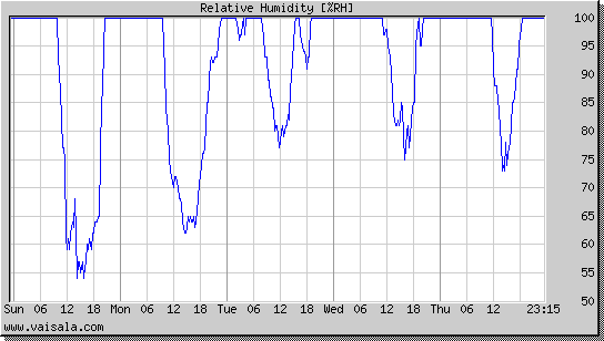 Relative Humidity