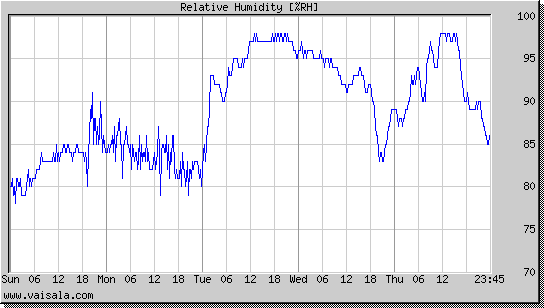 Relative Humidity