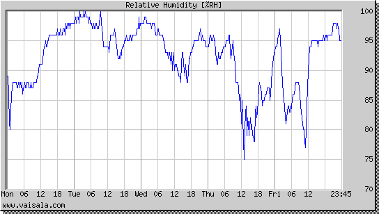 Relative Humidity