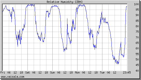 Relative Humidity