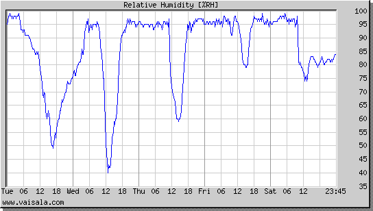 Relative Humidity