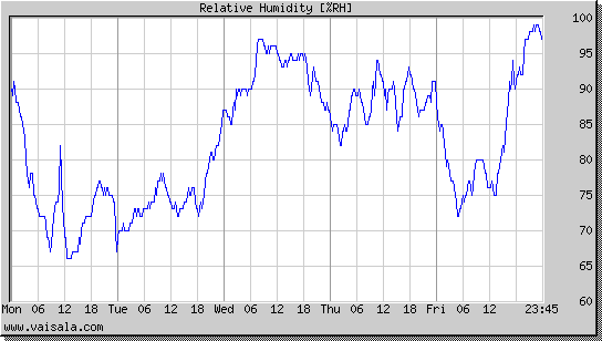 Relative Humidity