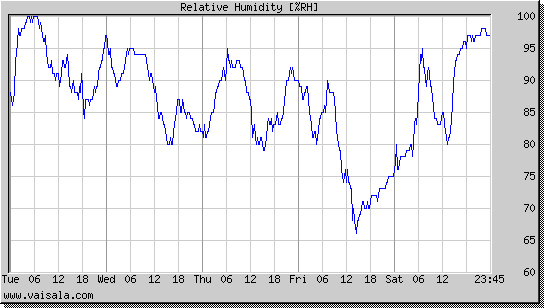 Relative Humidity