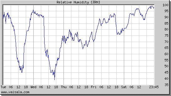 Relative Humidity