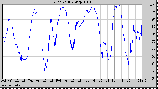 Relative Humidity