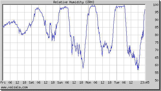 Relative Humidity