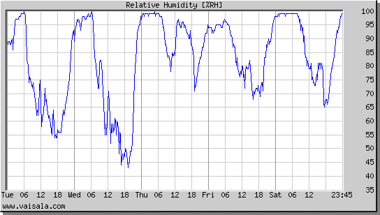 Relative Humidity