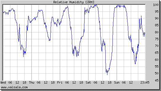 Relative Humidity