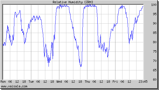 Relative Humidity