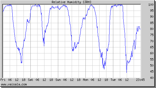 Relative Humidity