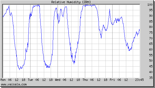 Relative Humidity