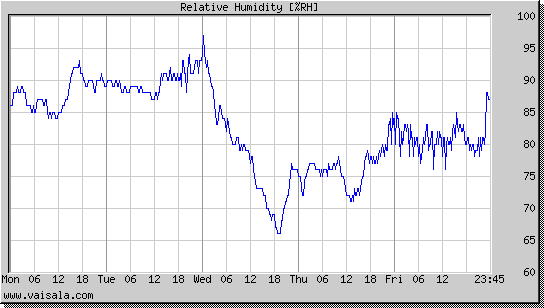 Relative Humidity